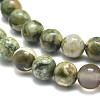 Natural Rhyolite Jasper Beads Strands G-F674-03A-6mm-3