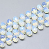 Opalite Beads Strands G-S357-C01-15-1