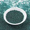 MIYUKI Round Rocailles Beads SEED-X0054-RR0030-2