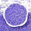 Imitation Cat Eyes Glass Seed Beads X1-SEED-H003-03U-3