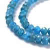 Natural Apatite Beads Strands X-G-K312-20B-3