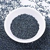 MIYUKI Delica Beads SEED-X0054-DB0325-2