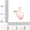 Fruit Alloy Enamel Pendants LS-ENAM-P264-02D-G-3