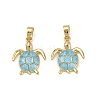 Brass Micro Pave Cubic Zirconia Pendants KK-C093-09G-02-1