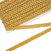 Polyester Braided Metallic Lace Trim SRIB-WH0011-180B-01-1