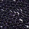 FGB Transparent Glass Seed Beads SEED-N013-01C-16-4