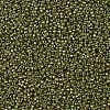 TOHO Round Seed Beads SEED-XTR11-1702-2