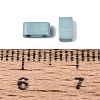 2-Hole Baking Paint Glass Seed Beads SEED-S023-17B-43-3