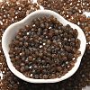 Picasso Baking Paint Glass Seed Beads X1-SEED-A032-02A-18-2