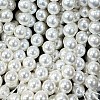 Shell Pearl Beads Strands BSHE-E008-8mm-12-2