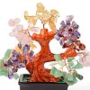 Natural Gemstone Chips Money Tree Bonsai Display Decorations DJEW-B007-08B-2