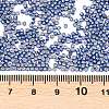 MIYUKI Delica Beads X-SEED-J020-DB2517-3