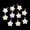 Opaque Resin Pendants RESI-B044-09P-1