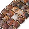 Natural Polychrome Jasper/Picasso Stone/Picasso Jasper Beads Strands G-F839-A30-01-2