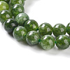 Dyed Natural Malaysia Jade Beads Strands G-G021-02A-13-3