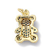 Rack Plating Brass Micro Pave Cubic Zirconia Charms KK-H443-06G-01-2