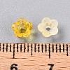 Frosted Transparent Acrylic Beads LS-X-OACR-N137-72G-4