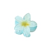 Plastic Claw Hair Clips PW-WG07B2B-05-1