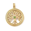 304 Stainless Steel Pendants STAS-D207-27G-1