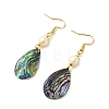 Natural Abalone Shell/Paua Shell Dangle Earrings EJEW-JE07434-01-4