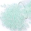 TOHO Round Seed Beads SEED-JPTR08-0170-1