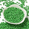 6/0 Opaque Baking Paint Glass Seed Beads X1-SEED-M012-02A-06-2