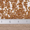 MIYUKI Delica Beads SEED-J020-DB1734-4