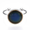Flat Round Mood Ring LS-RJEW-T025-01P-2