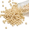 TOHO 6/0 Round Beads SEED-XTR06-0051-1
