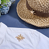 2Pcs Star Alloy Lapel Pins for Backpack Clothes JEWB-PH0001-74KCG-4