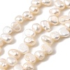 Natural Cultured Freshwater Pearl Beads Strands PEAR-I007-03B-01A-2