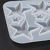 DIY Silicone Cabochons Molds X-DIY-G079-09B-5
