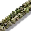 Natural Sesame Jasper Beads Strands G-K380-A20-01-1