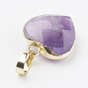 Natural Amethyst Pendants G-G737-14G-G-2