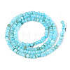 Natural Freshwater Shell Dyed Beads Strands SHEL-T020-29B-02-2