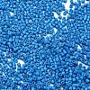 Baking Paint Glass Seed Beads X-SEED-S042-05B-76-3