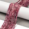 Gradient Color Natural Pink Tourmaline Beads Strands X-G-K373-A03-01-1
