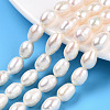 Natural Cultured Freshwater Pearl Beads Strands PEAR-N012-07R-1