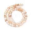 Natural Freshwater Shell Beads Strands SHEL-T011-02-6mm-2