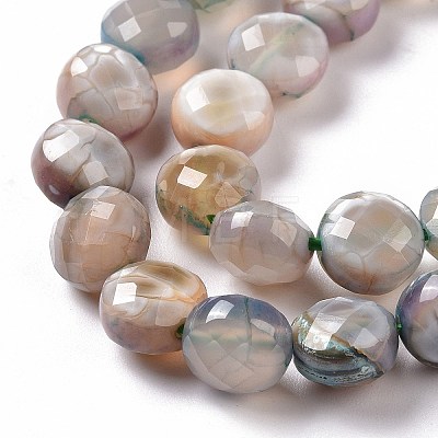 Natural Dyed Fire Crackle Agate Beads Strands X-G-C023-08A-1