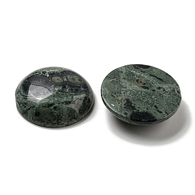 Natural Kambaba Jasper Cabochons G-C115-02B-24-1