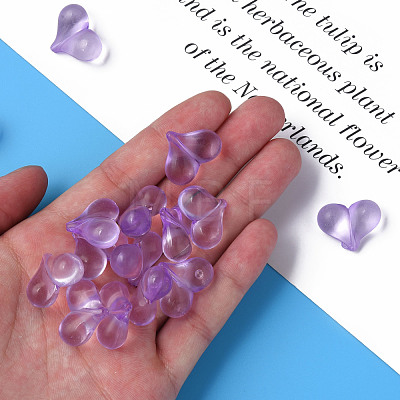 Transparent Acrylic Beads MACR-S373-70-B14-1