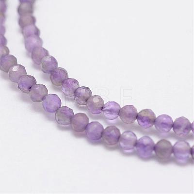 Natural Amethyst Beads Strands G-E347-09-1