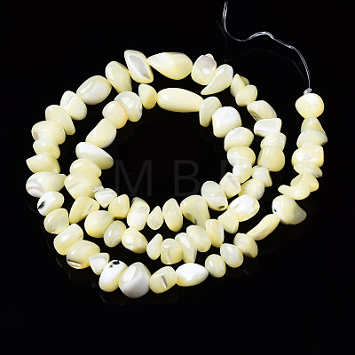 Natural Trochid Shell/Trochus Shell Beads Strands SSHEL-N034-78-1