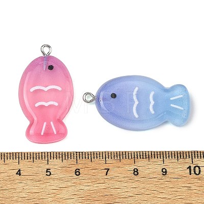 Transparent Resin Pendants RE-T003-04-1