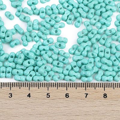 Baking Paint Glass Seed Beads SEED-K010-A19-1