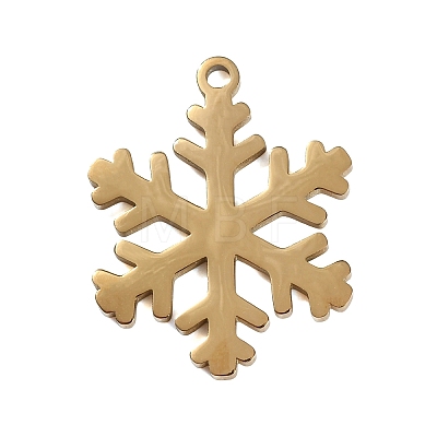 304 Stainless Steel Pendants SA-CBAE0F2-24G-1