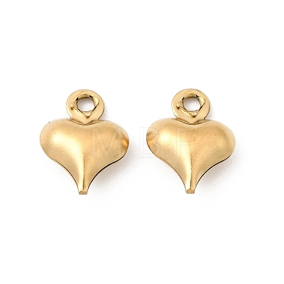 304 Stainless Steel Pendants STAS-G389-02G-06-1