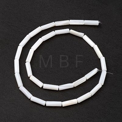 Natural Freshwater Shell Beads Strands SHEL-M018-10-1