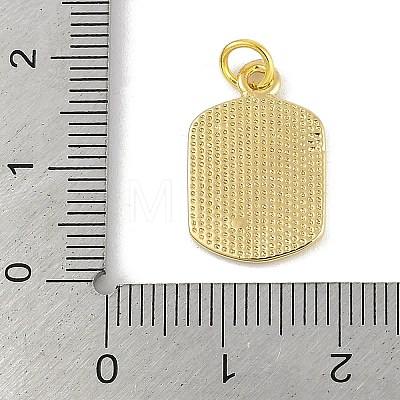 Brass Enamel Pendants KK-B114-10G-1